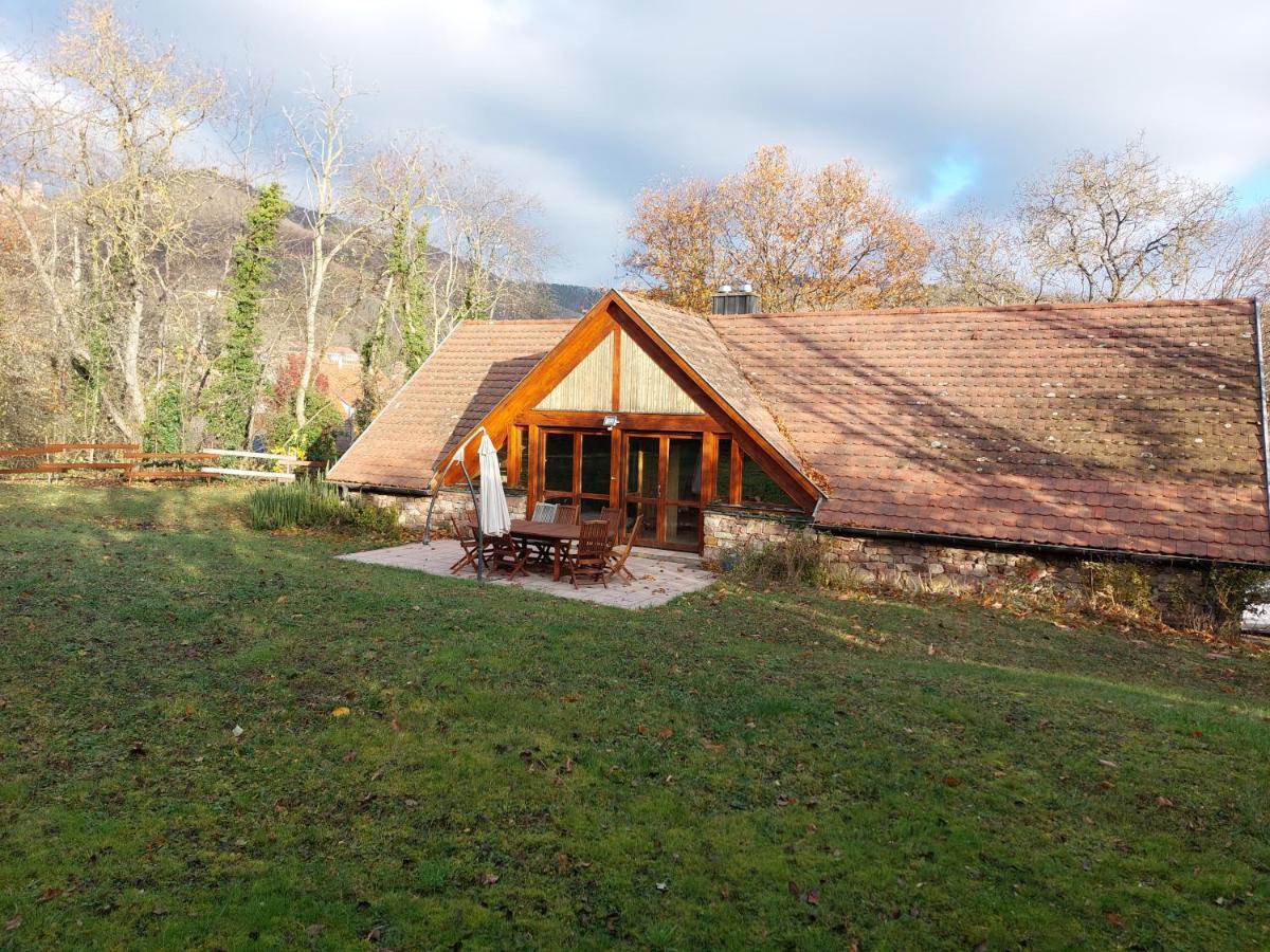 La Canopee Alsacienne - Magnifique Maison A Ribeauville ภายนอก รูปภาพ