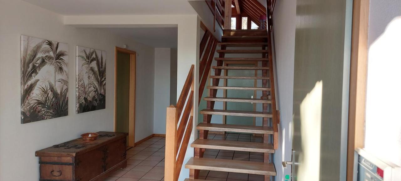 La Canopee Alsacienne - Magnifique Maison A Ribeauville ภายนอก รูปภาพ