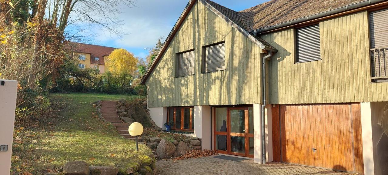 La Canopee Alsacienne - Magnifique Maison A Ribeauville ภายนอก รูปภาพ