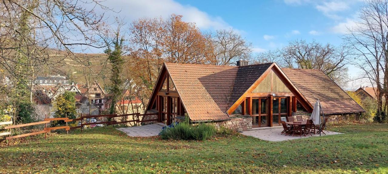 La Canopee Alsacienne - Magnifique Maison A Ribeauville ภายนอก รูปภาพ
